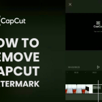 how to remove capcut watermark for free from video. you can also remove tiktok watermark from video